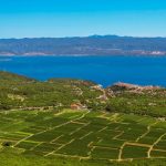 Podrška izvozu i promociji: Ministarstvo poljoprivrede i šumarstva objavilo Javni poziv za organizirane nastupe hrvatskih gospodarstvenika – osigurano 500.000 €.