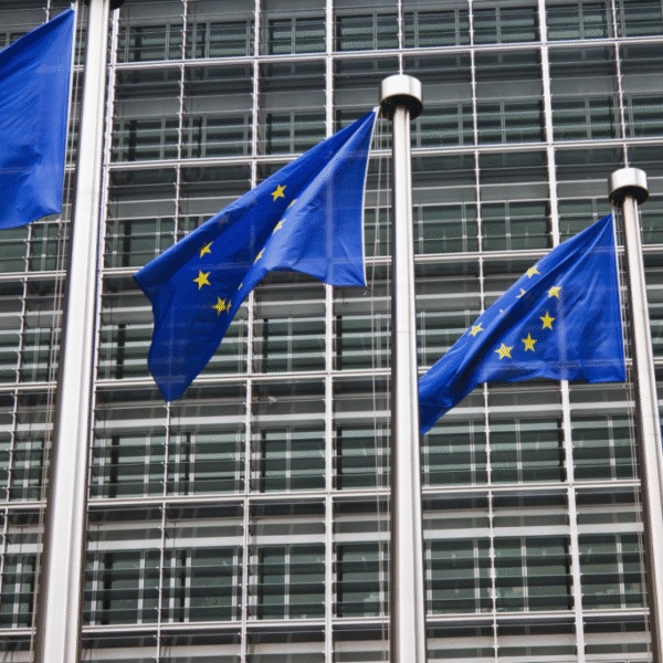 EU flags