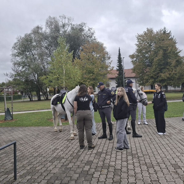 Festival of Occupations Kočevje 7